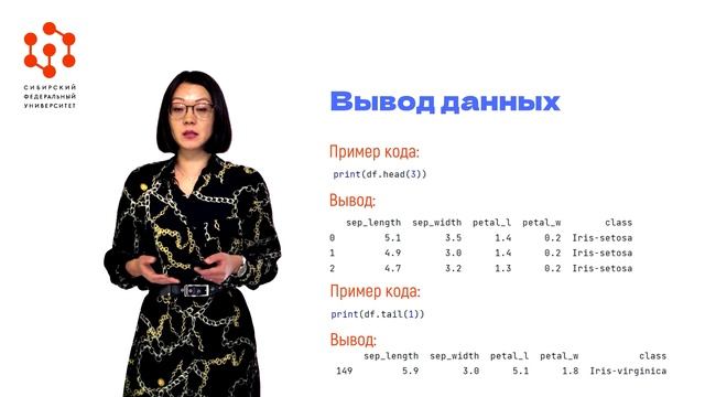 8. Python: библиотека Pandas и Dataframe. смотреть онлайн