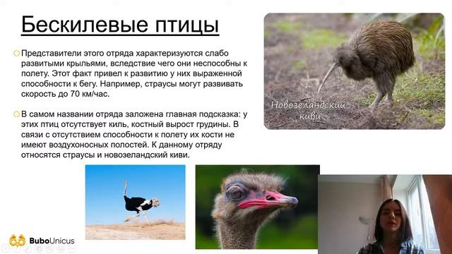 Отряды Хордовых | БИОЛОГИЯ ЕГЭ 2021