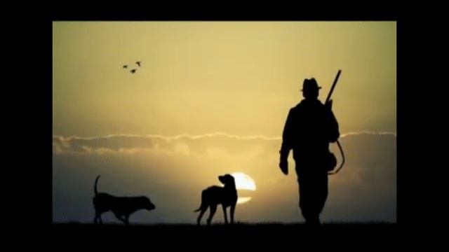 О.Сулейменов "Волчата" 8 класс смотреть онлайн