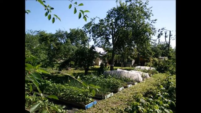 2021 как менялся сад 1 смотреть онлайн