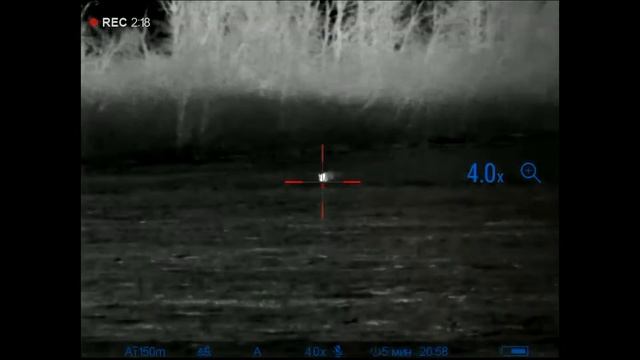 Охота на лису 10 с тепловизором Пульсар Pulsar Trail 2 LRF XP50 и карабин Blaser R8 308win
