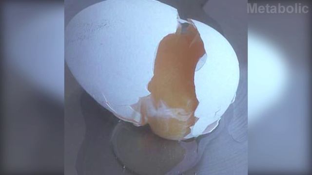 10 ОШИБОК ПРИ СОЗДАНИИ ГОМУНКУЛА смотреть онлайн