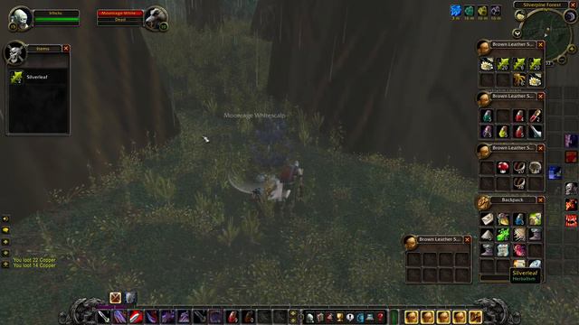 World of Warcraft Classic 2023 - Hardcore Run - Death Equals Delete - Ambient&Music - Part 15 смотреть онлайн