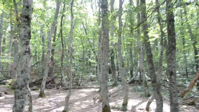 Каменная куница на Медведь горе смотреть онлайн