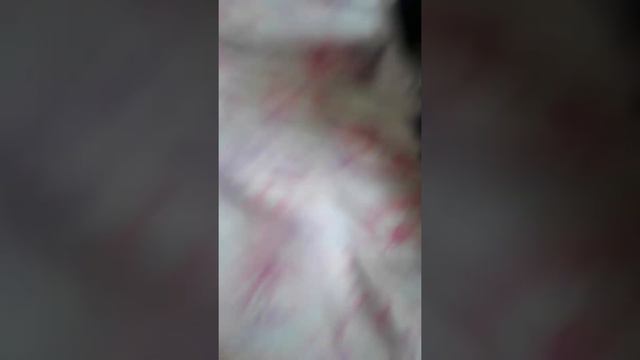 я просто сидел и не понелмал почему нету кота а оказывается он рядом со мной лежит😅 смотреть онлайн