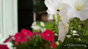 Обзор турбазы отдыха Ледяной фонтан