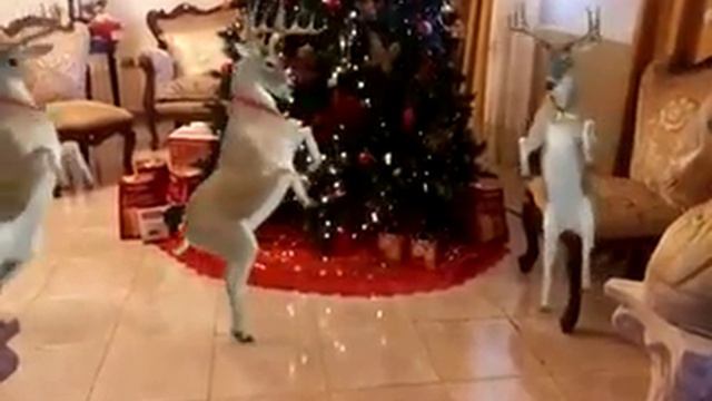 Feliz navidad y prospero año nuevo смотреть онлайн