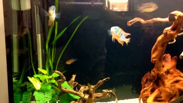 my 3 tanks (dave) смотреть онлайн