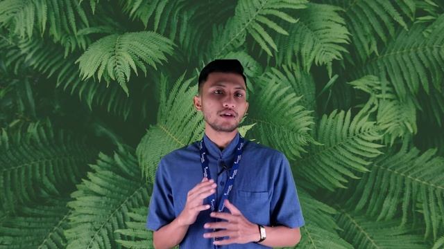 INIXPEDIA - Data Mining With Python смотреть онлайн
