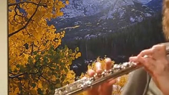 Yamaha 881 Flute (used) w/ Straubinger Head (High Register) смотреть онлайн