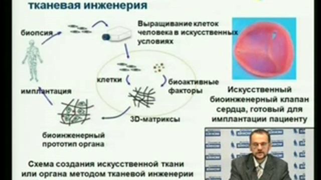 Проект «Нанотехнологии». Тема 4. Ведущий Бонарцев А.П. смотреть онлайн