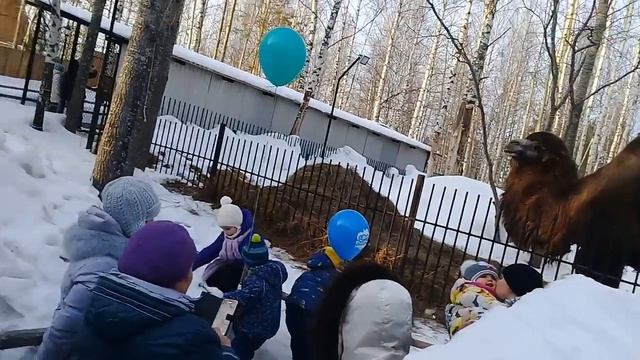 #База отдыха Ольгино. 2 смотреть онлайн