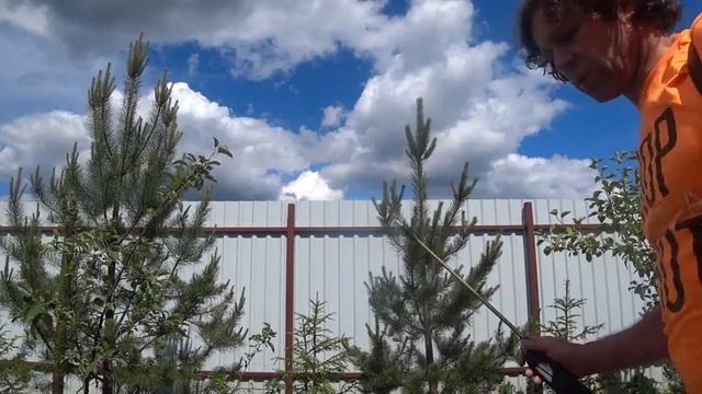 Опрыскиватель ранцевый CAIMAN TELESCOPIC 12m. Опрыскиватель Мечты ! Ручной опрыскиватель CAIMAN.