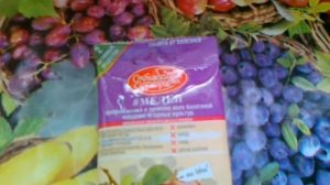 Медея- системный фунгицид от грибковых болезней.