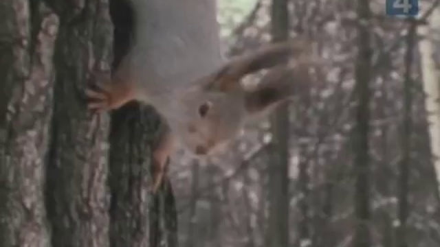 Документальный фильм смотреть онлайн