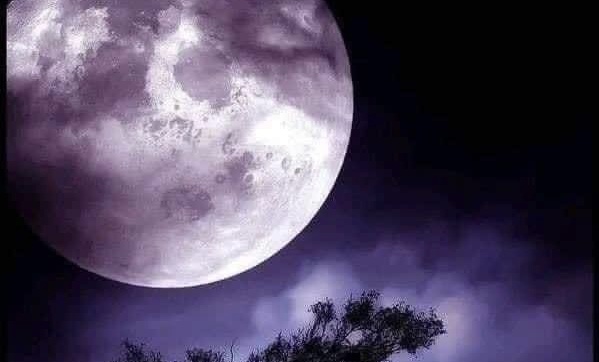 Запахам впредь – кранты!