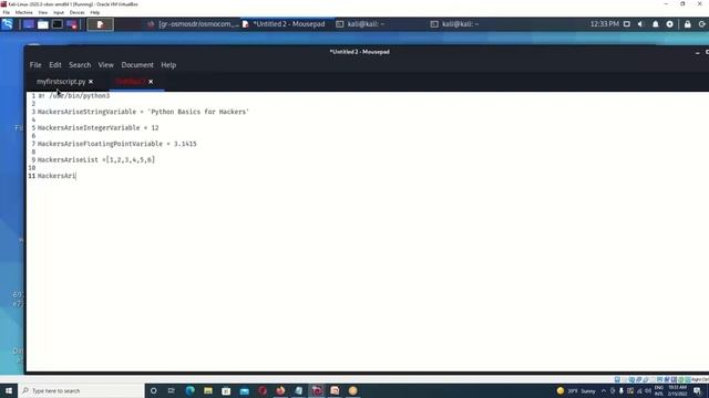 Python Basics for Hackers, Full Course +PDF смотреть онлайн
