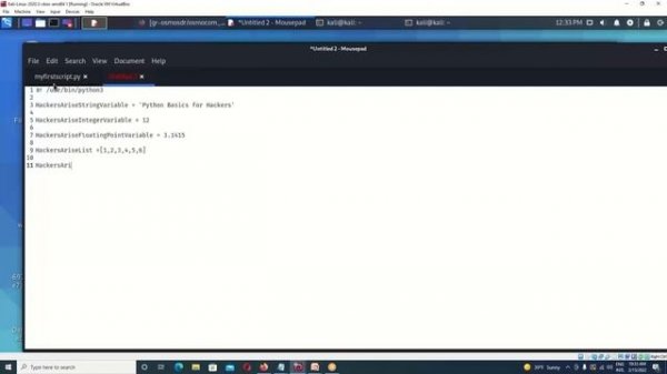 Python Basics for Hackers, Full Course +PDF