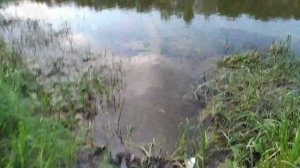 Рыбалка с ночёвкой на реке Хопёр. Раздача Хопром карася и чехони.