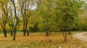 ГРУСТИ, НЕ ГРУСТИ, А ПОДУМАЙ ЛУЧШЕ О ВЕЧНОСТИ... ПОКА ГОДЫ ЛЕТЯТ (кавер)