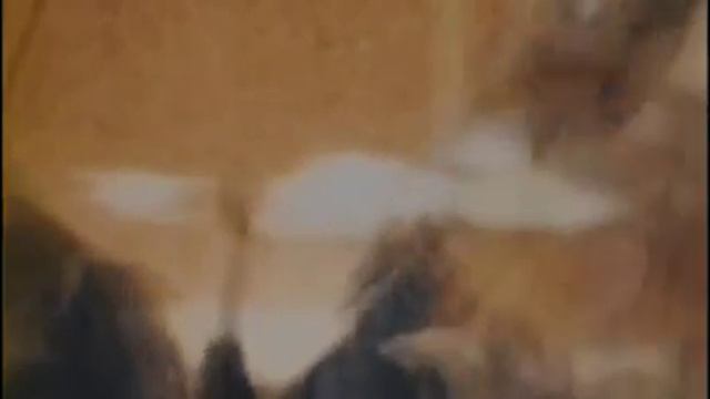 Мила Кириевская - Скандинавская сага.mp4 смотреть онлайн