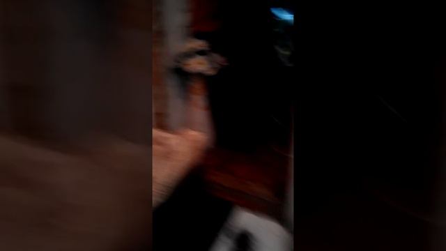 Осмотр животных смотреть онлайн