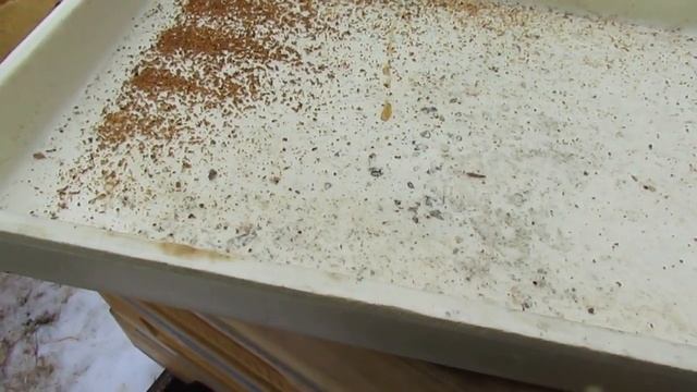 как узнать что много клеща у пчел и нужна обработка от клеща в марте