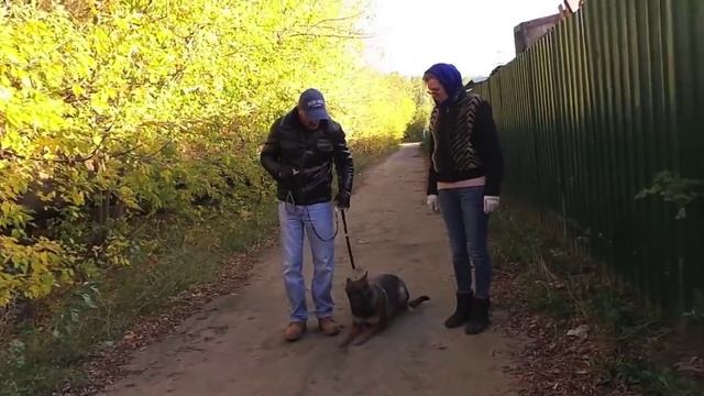 Антуан Наджарян,приют "Красная Сосна",Москва 2015г смотреть онлайн