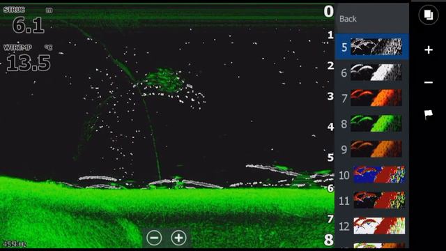 Палитры наложения  DownScan Imaging™на эхолокацию и  FishReveal™. Lowrance Elite Ti .  Часть1.