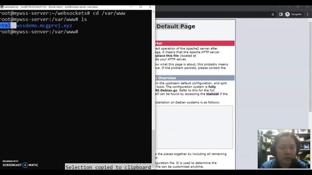 WSS Server Setup смотреть онлайн