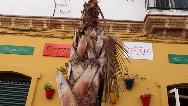 Кадис. Улица маленьких кафе. смотреть онлайн
