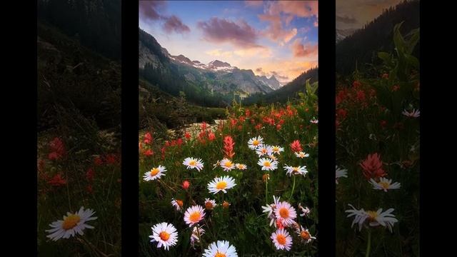 Медитация смотреть онлайн