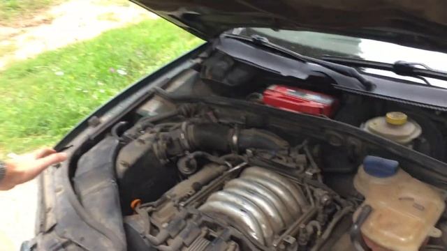 Купил VW passat 2.8 v6 4motion 2000 г.в смотреть онлайн