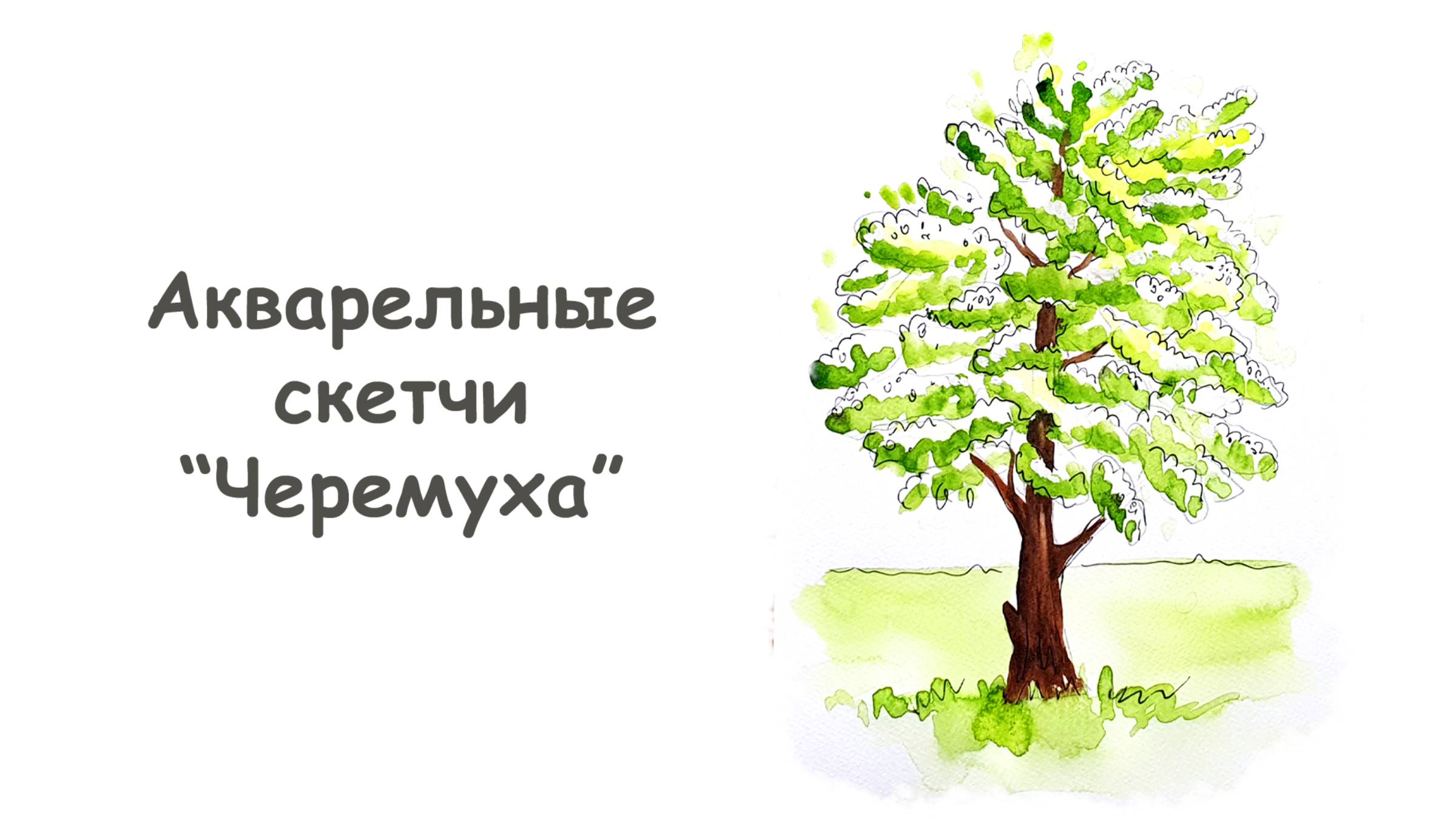 Как нарисовать Черемуху? / Урок по рисованию для начинающих от more-art.ru смотреть онлайн