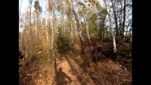 Покатушка по лесу.  Видео для велотренажера.