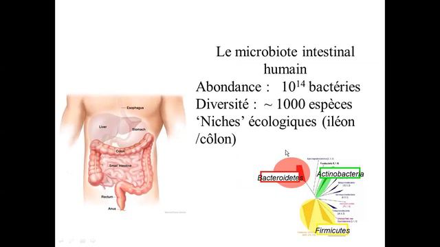 Ecologie de microorganismes смотреть онлайн