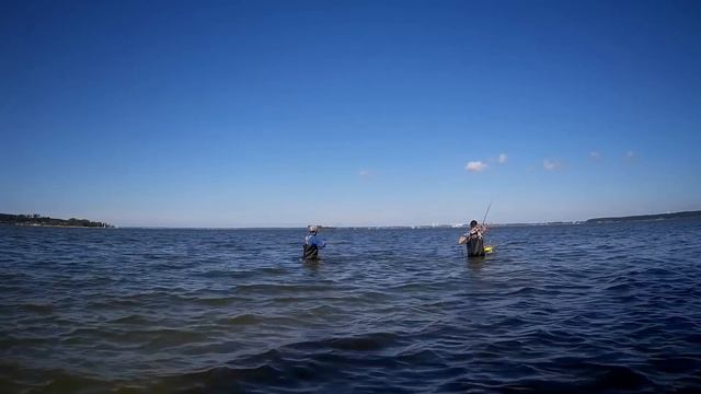 Хорошая рыбалка в черте города.На что ловить?5 советов которые работают по белой рыбе смотреть онлайн