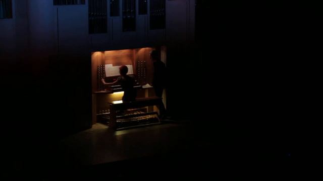 Международные ассамблеи искусств: Барбара Мария Вилли (Чехия)- музыка эпохи барокко смотреть онлайн