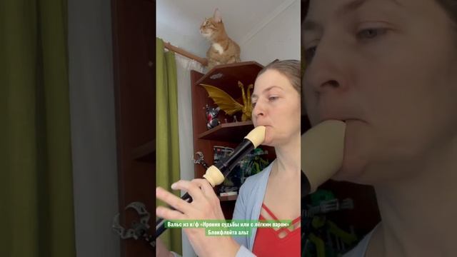 Последний вальс (из к/ф Ирония судьбы или с лёгким паром) - блокфлейта альт смотреть онлайн