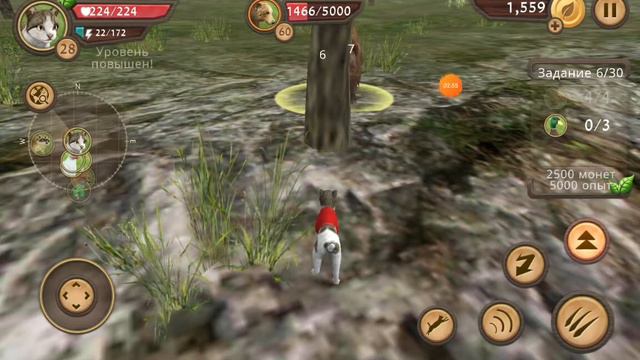 Как ловить медведя в игре смотреть онлайн