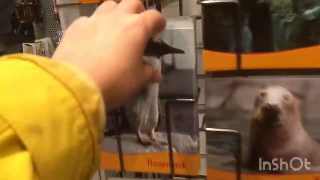 Зоопарк Хагенбека слоны смотреть онлайн