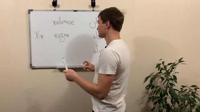 الحرف Ж الأبجدية الروسية - Russian letter Ж - Русская буква Ж смотреть онлайн