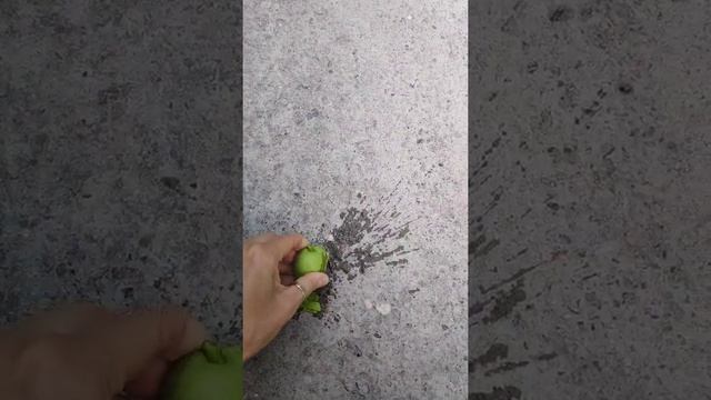 Фокусы с Картами