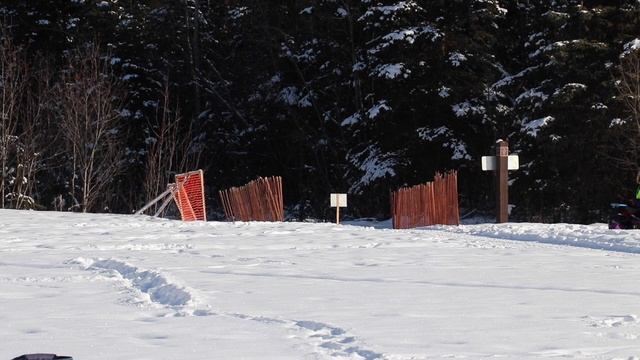 Fur Rondezvous 2019 - Dog sled racing смотреть онлайн