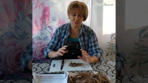 Заготовка корней одуванчика