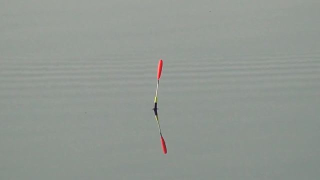 КАРАСЬ с Пулемёта на МАХОВУЮ удочку BRAIN и FLAGMAN!Поплавок КРУПНЫМ планом!nrg FISH смотреть онлайн