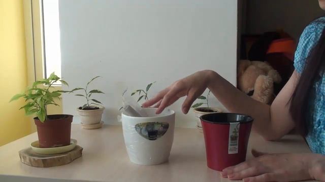 Цветочные горшки с автополивом. Горшки с двойным дном смотреть онлайн