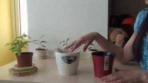 Цветочные горшки с автополивом. Горшки с двойным дном