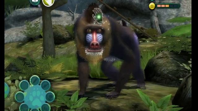 Zoo Hospital (Wii) смотреть онлайн
