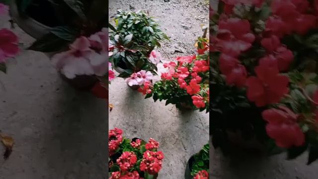 April 5, 2023 смотреть онлайн